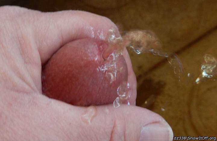 Adult image from dz338