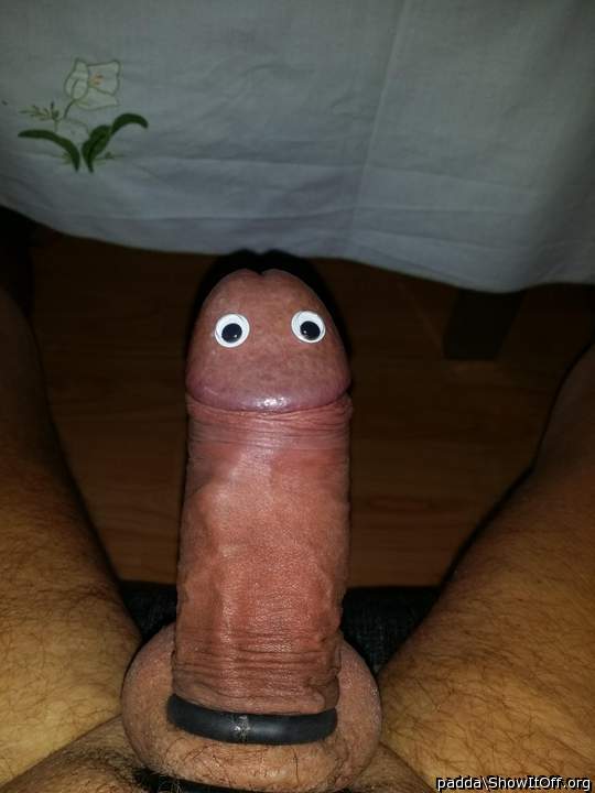 Adult image from padda