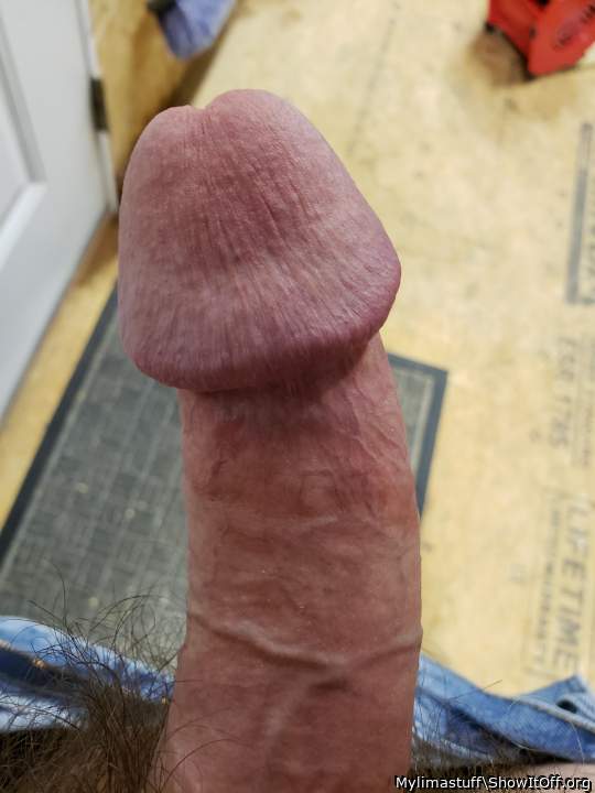 Adult image from Mylimastuff