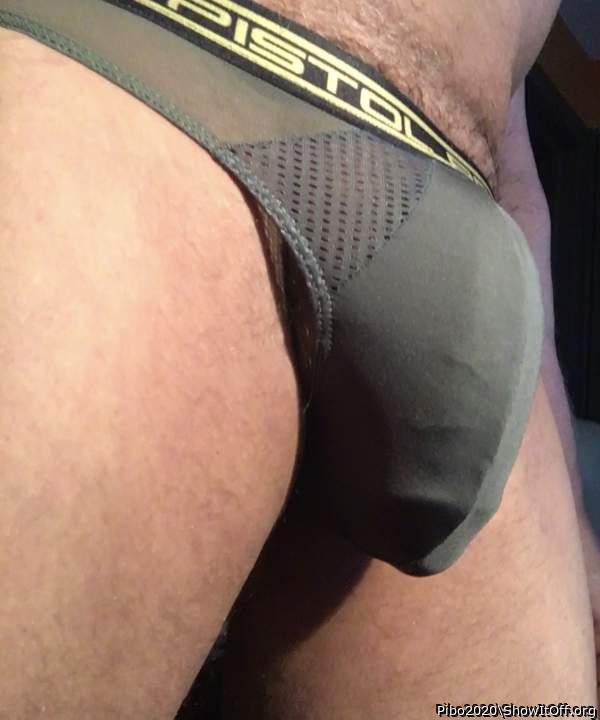 Adult image from Pibo2020