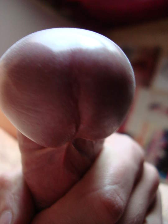 Adult image from DarkMax