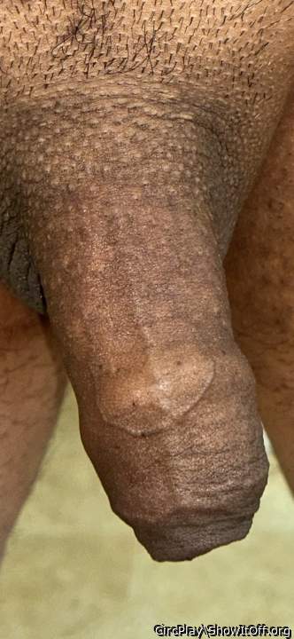 Adult image from CircPlay