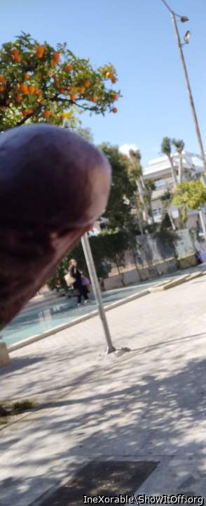 Public flashing