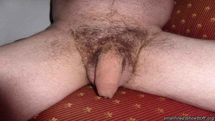 Adult image from smallfined