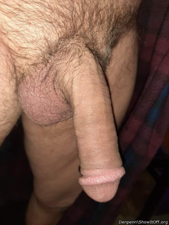 Adult image from Denpenn