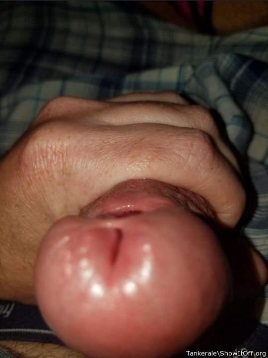 Adult image from Tankerale