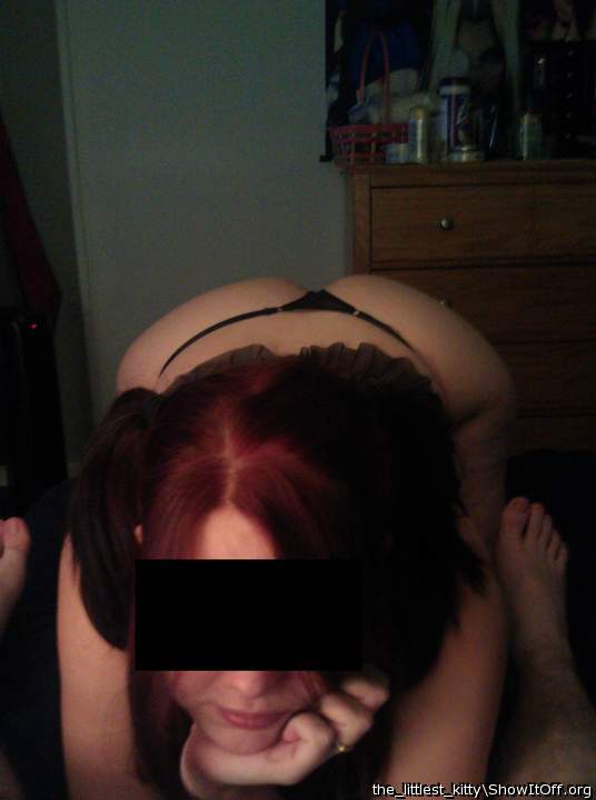 Adult image from the_littlest_kitty