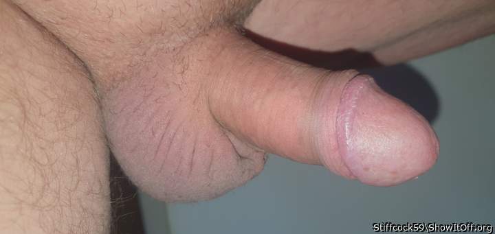 Adult image from Stiffcock59