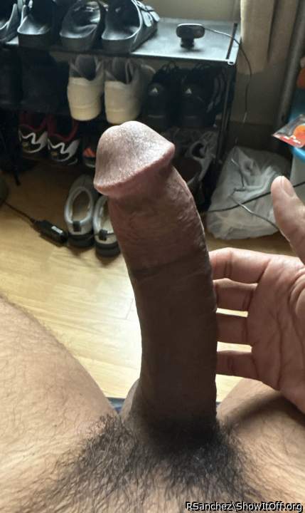 Adult image from RSanchez