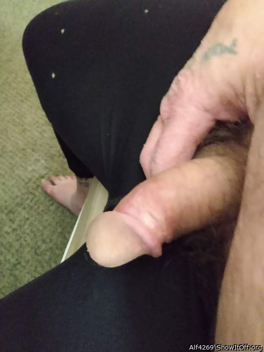 Adult image from Alf4269