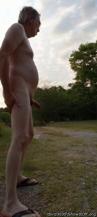 Adult image from tbird3030