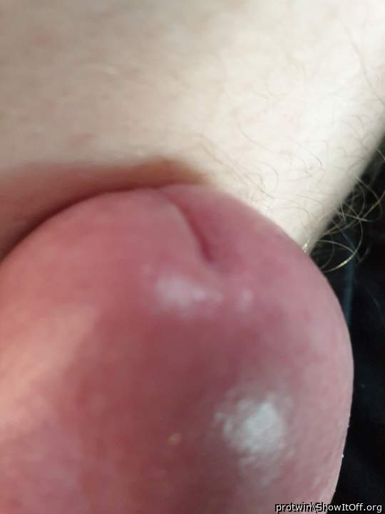 Adult image from protwin