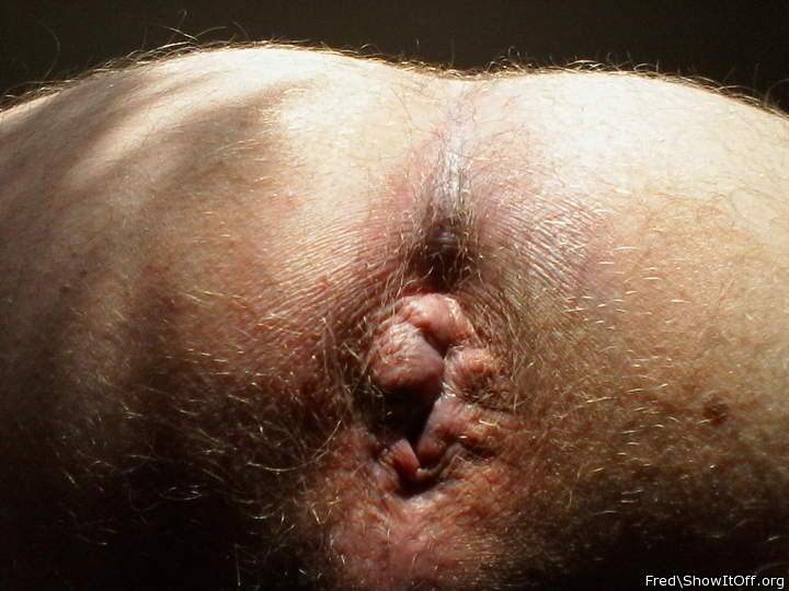 Adult image from Fred