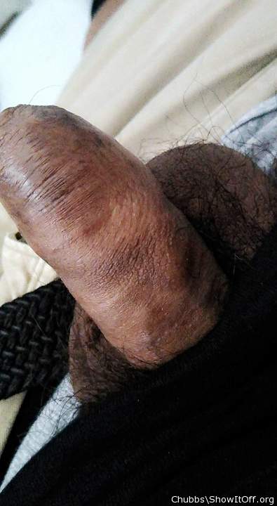 Adult image from Chubbs