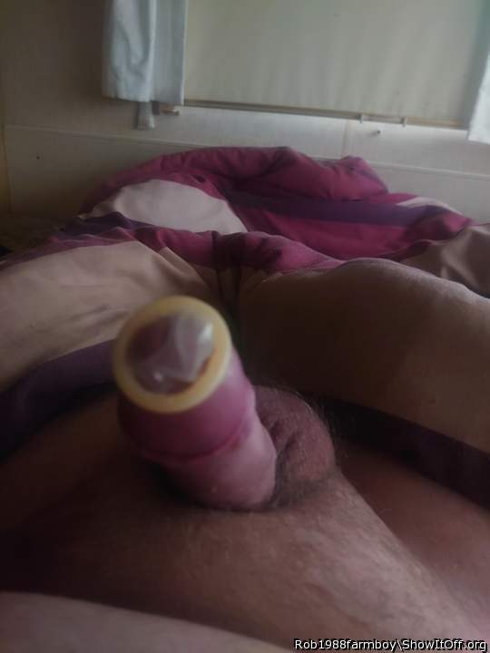 Adult image from Rob1988farmboy
