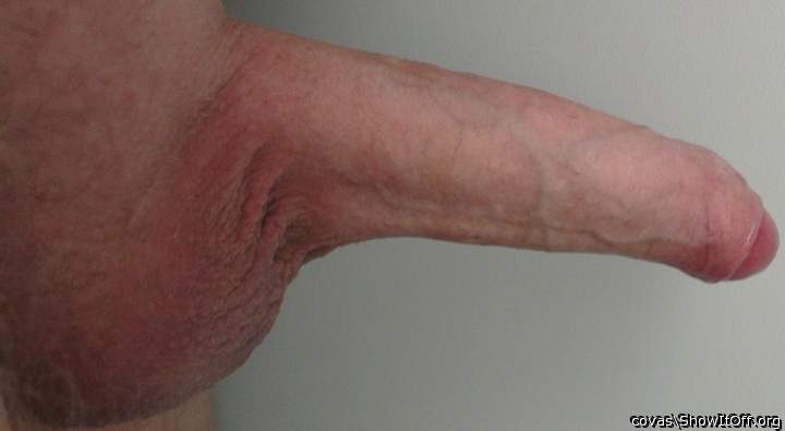 Adult image from covas