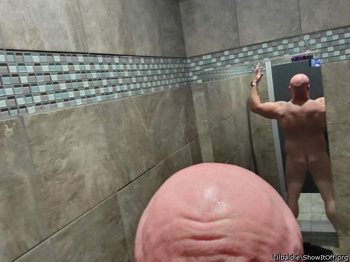 Adult image from Lilbaldie