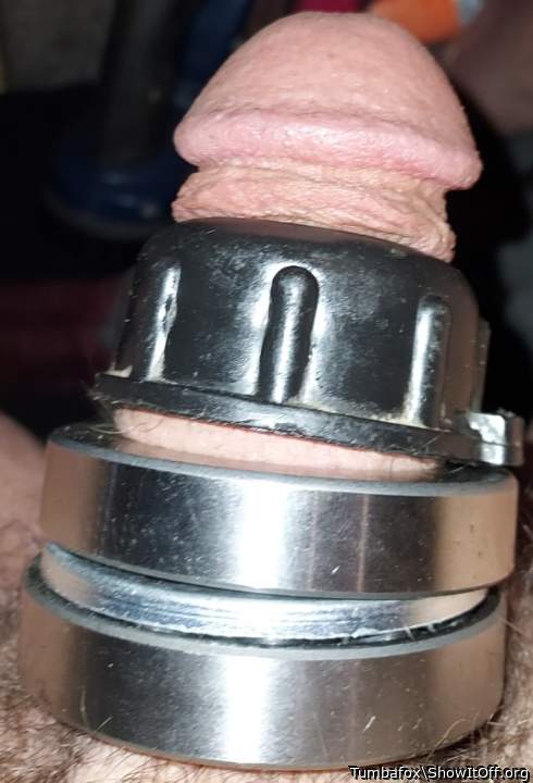 Adult image from Tumbafox