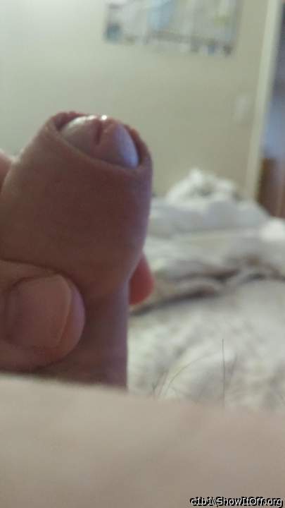 Nice cock and foreskin