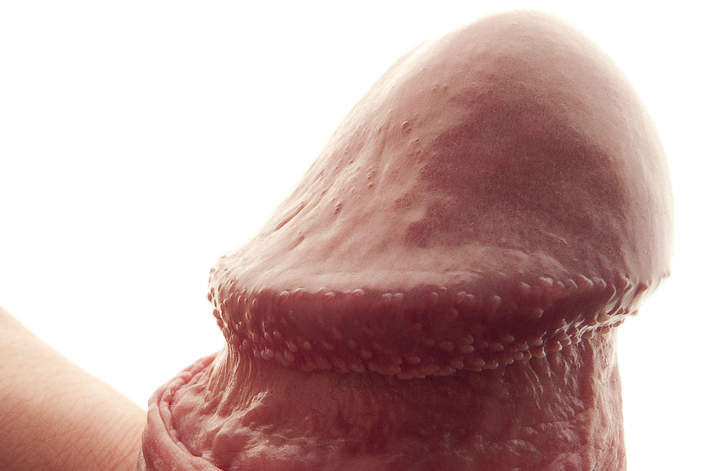 Adult image from bilingual
