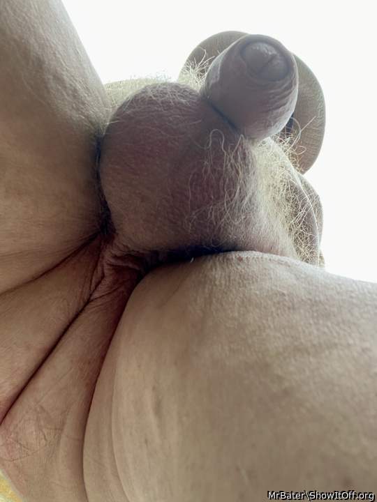 It�s warm, the Sun is out and so is my cock! Any volunteers to suck it?