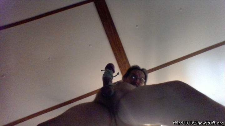 Adult image from tbird3030