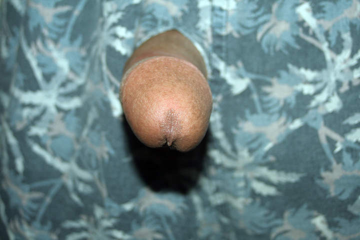 Adult image from Anass