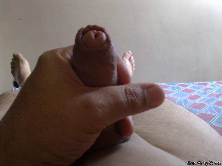 Adult image from olivio