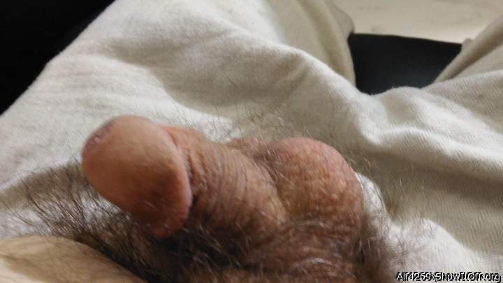 Adult image from Alf4269