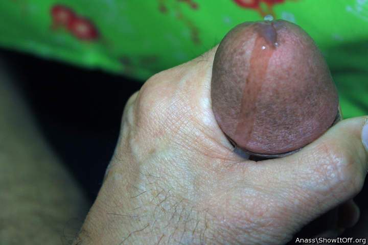 Adult image from Anass