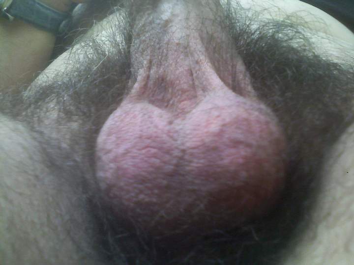 Nice plump pair of balls and good to see that forest of wild