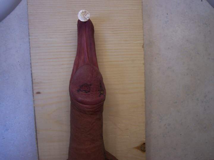 Adult image from Olddude