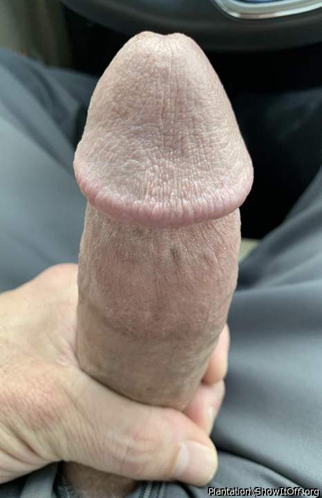 Adult image from Plantation