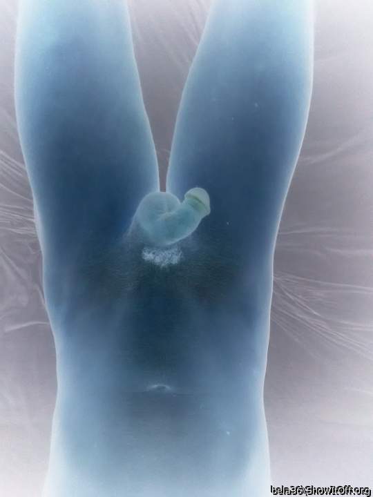 Adult image from bela36