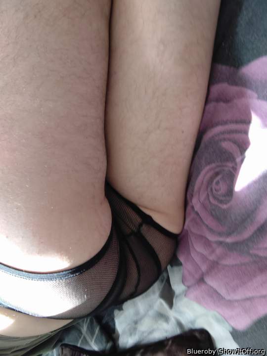 Adult image from Blueroby