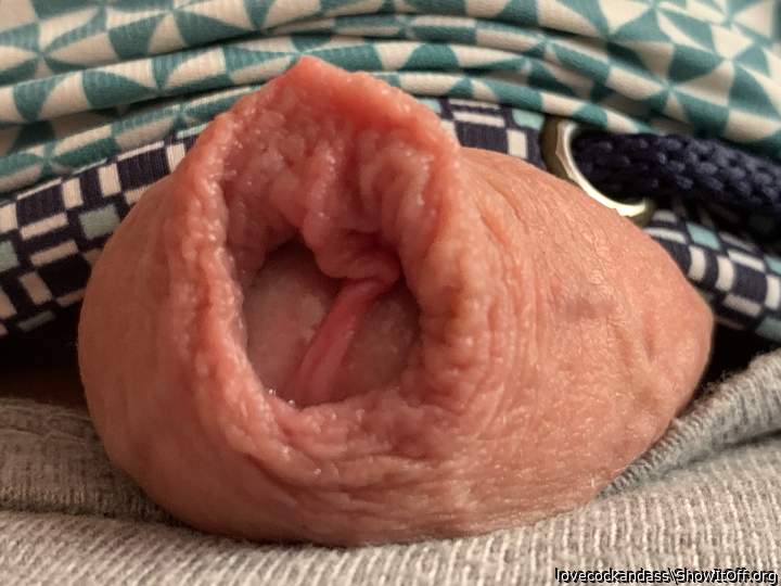 Like my uncut cock?