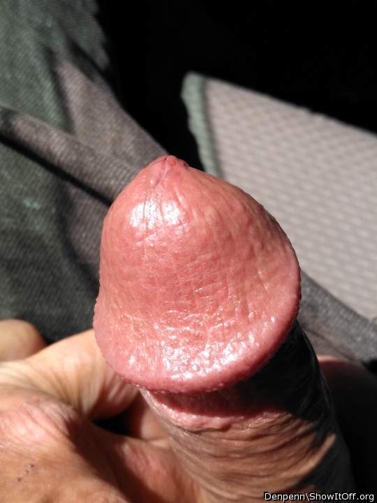 Adult image from Denpenn