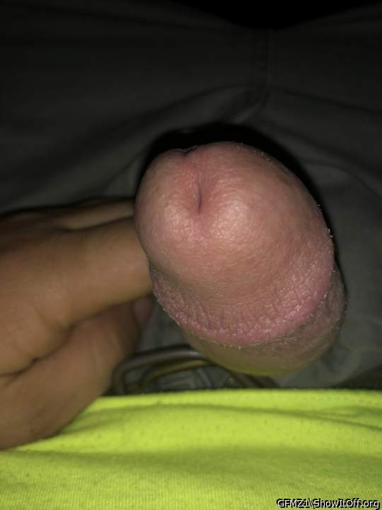 Adult image from GFMZ1