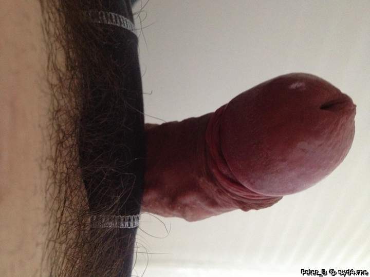 Adult image from peter_b