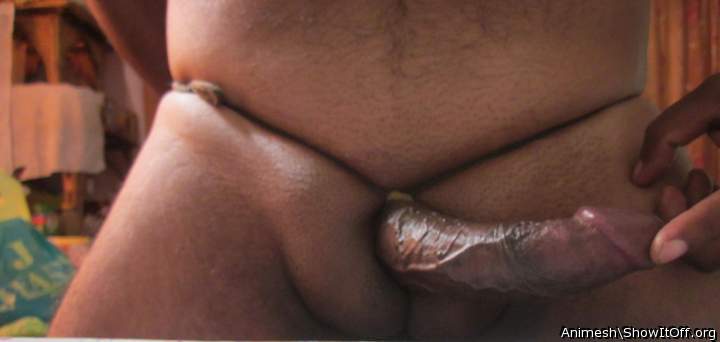 Adult image from Animesh