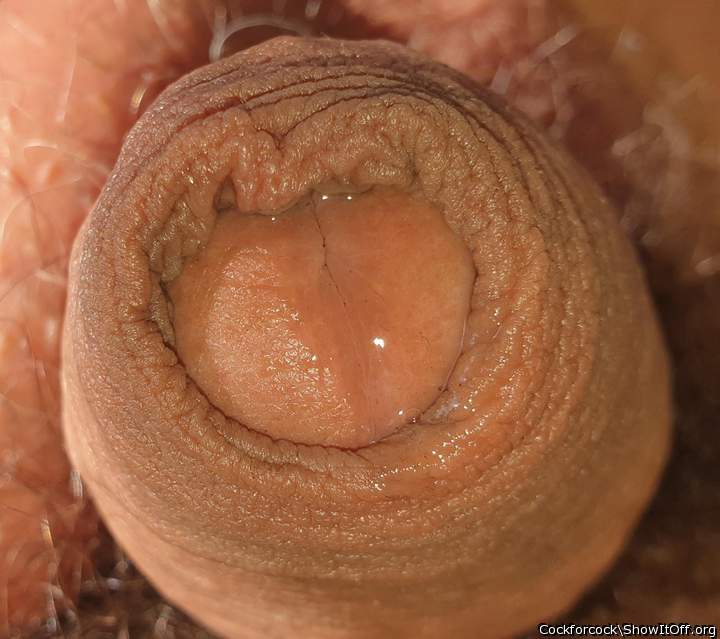 Adult image from cockforcock