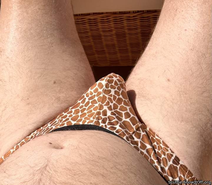 Adult image from Scuttle