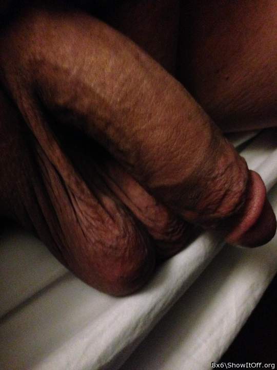 Adult image from 8x6