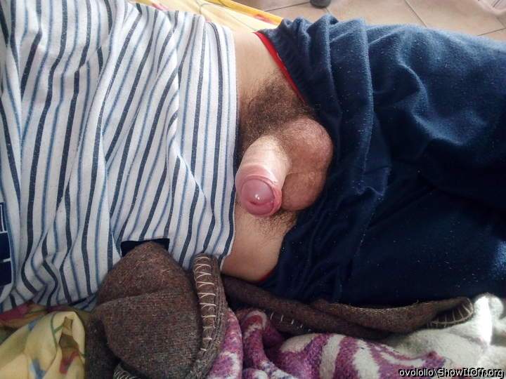 Adult image from Ovolollo