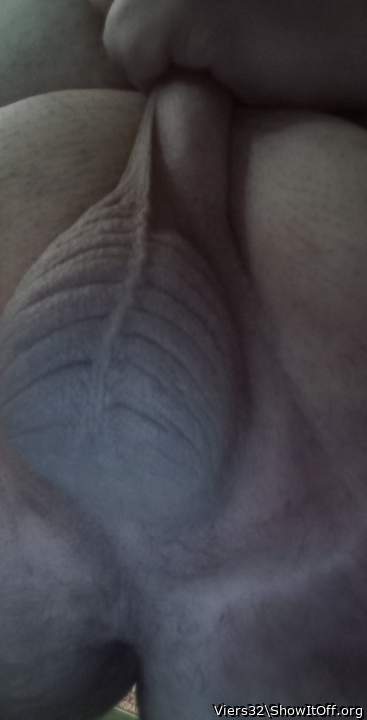 Adult image from Viers32
