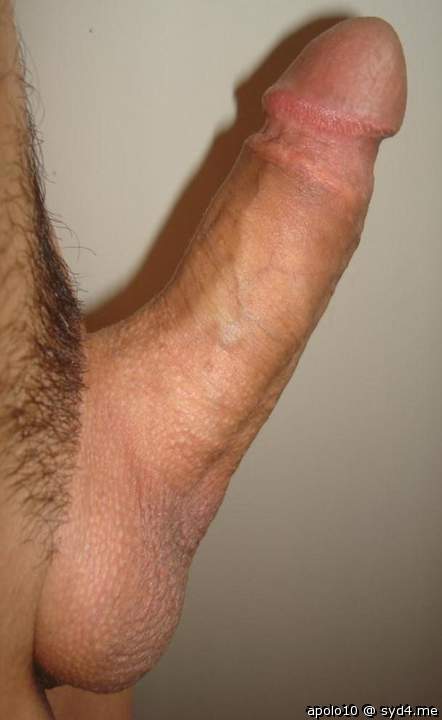 Adult image from apolo10