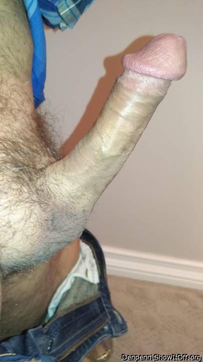 Adult image from Denpenn