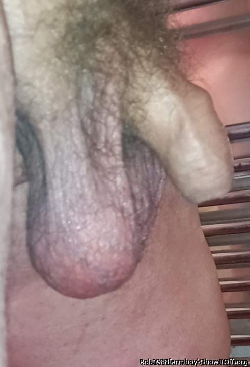 Adult image from Rob1988farmboy