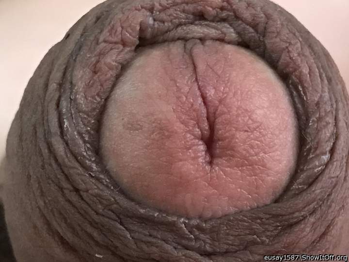 Adult image from eusay1587