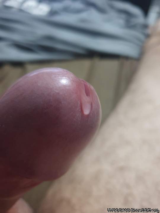 Adult image from MYCOCK66